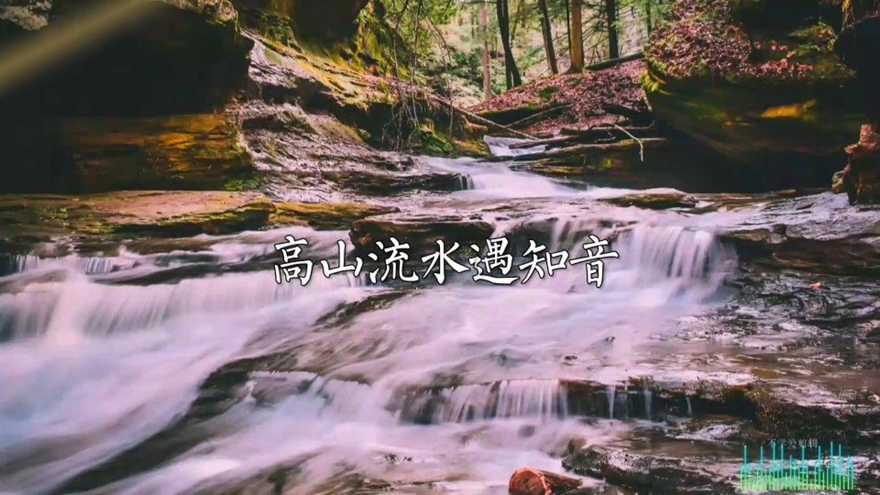 蝴蝶领结